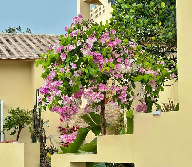 北海亲子游5天4晚价格跟团五日游报价MG不朽情缘北海亲子跟团游多少钱？(图6)